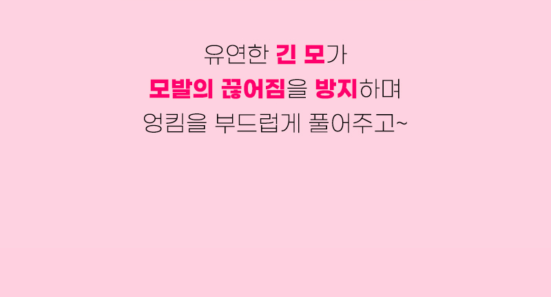 [탱글티저] 웻 디탱글러 미니 리코리스 블랙 상세 이미지 5