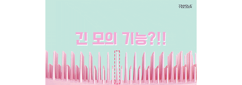 [탱글티저] 웻 디탱글러 라지 새먼 핑크 상세 이미지 2