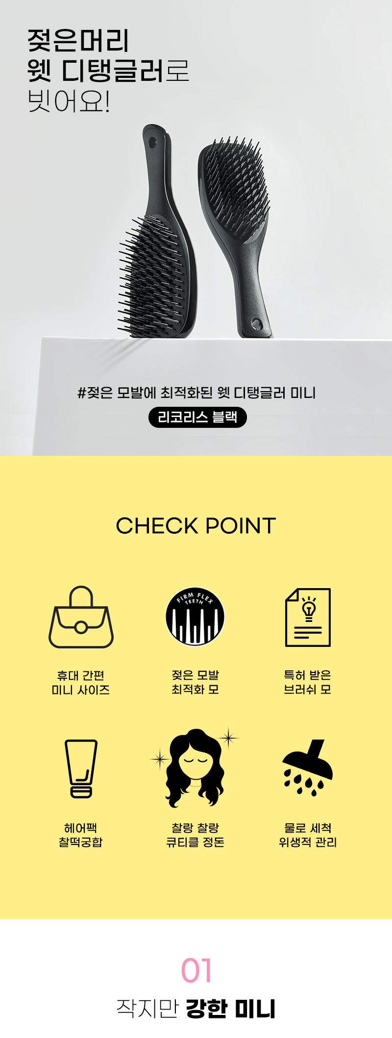 [탱글티저] 웻 디탱글러 미니 리코리스 블랙 상세 이미지 1