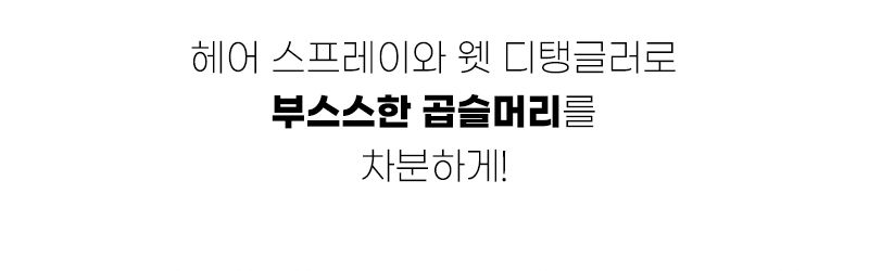 [탱글티저] 웻 디탱글러 미니 리코리스 블랙 상세 이미지 15