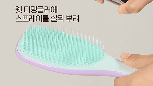 [탱글티저] 웻 디탱글러 로즈버드 & 애프리콧 상세 이미지 4